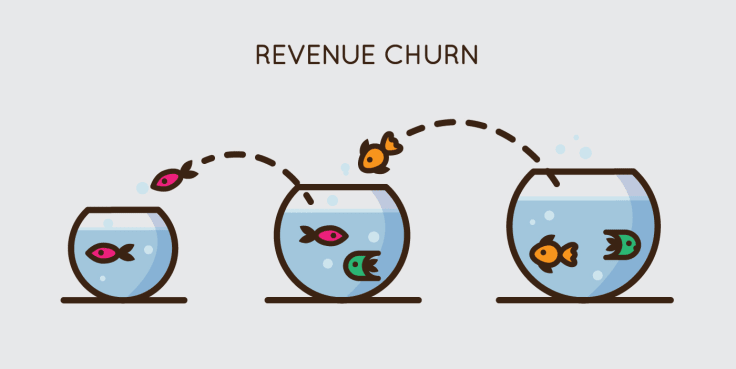 Revenue churn rate