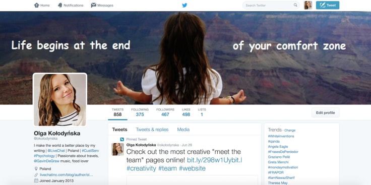Twitter bio