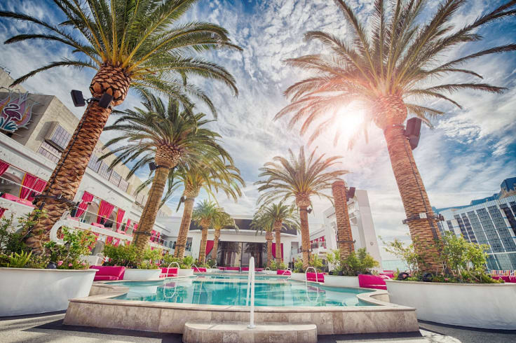 Exotiv hotel with pool and palms