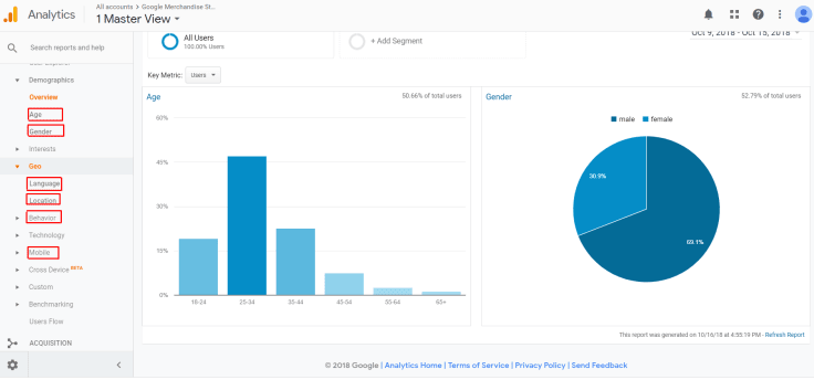 Google analyticsc demographics chart