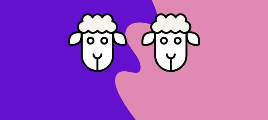 two sheep on a purple and pink background