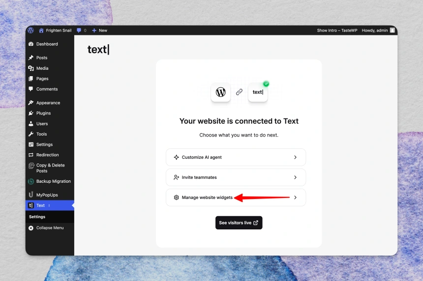 WordPress dashboard confirming the website is connected to Text with the ‘Manage website widgets’ option highlighted.