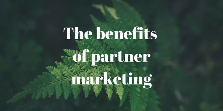 partner marketing pros