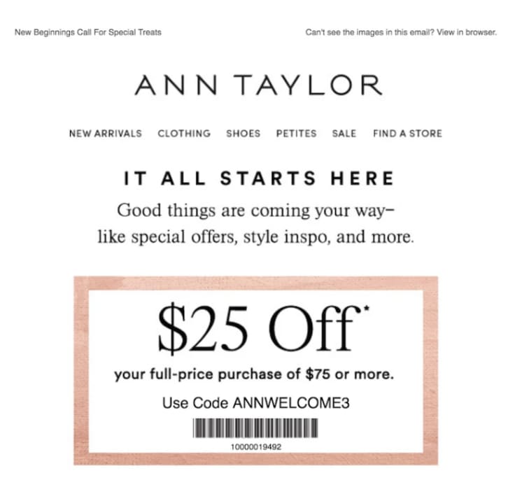 ann taylor email marketing