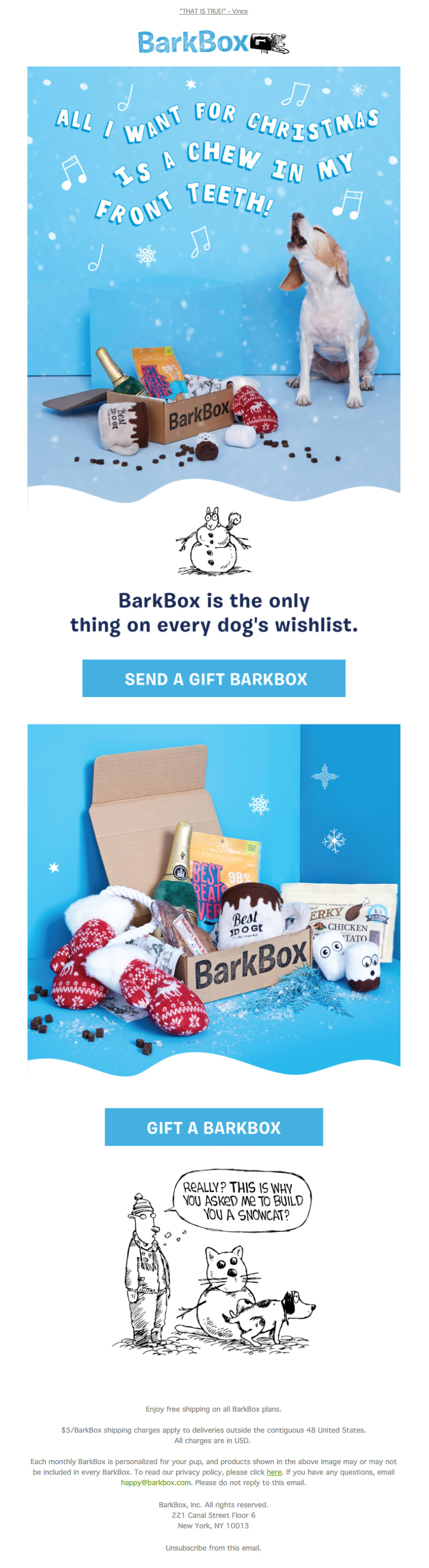 barkbox email marketing