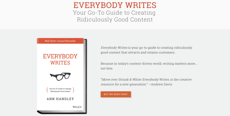 everybody writes ann handley book website