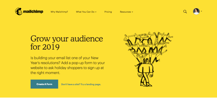 mailchimp landing page