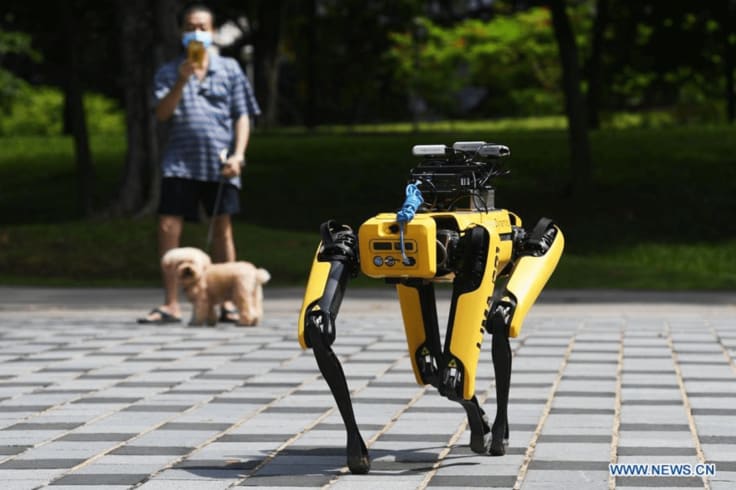 a robot dog by Boston Dynamics walking in a park