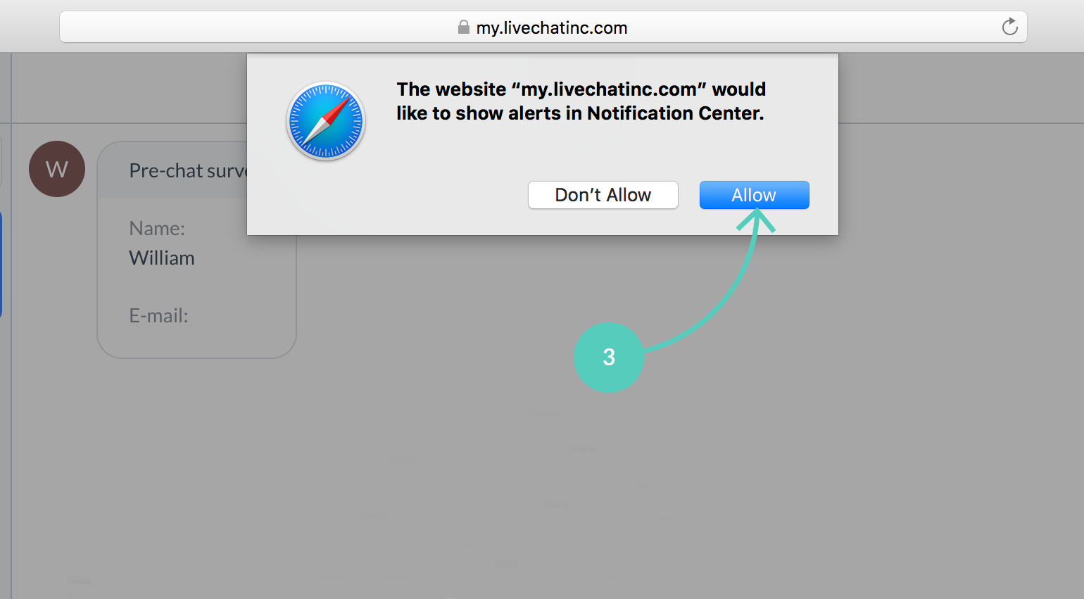 Allow LiveChat to show alerts in Safari