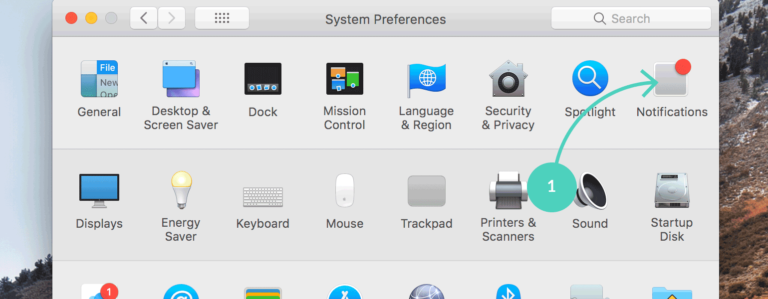 Navigate to Sytem preferences and select Notifications