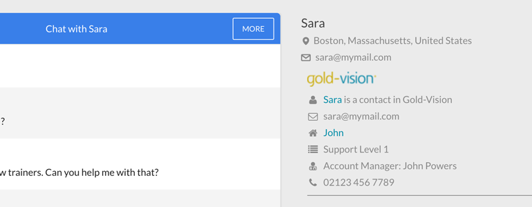 Gold-Vision: create new CRM records from LiveChat