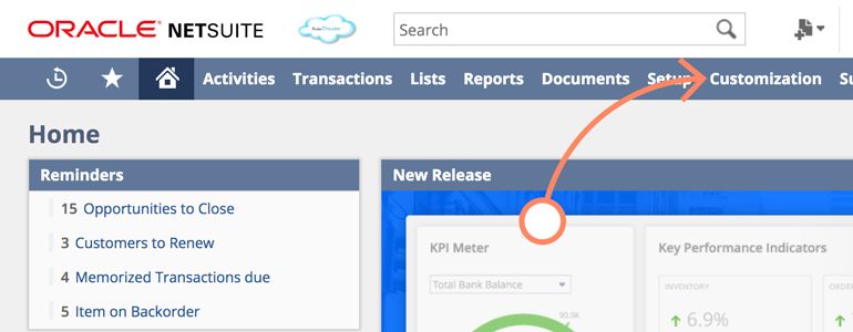 NetSuite LiveChat: Log into NetSuite and go to Customization