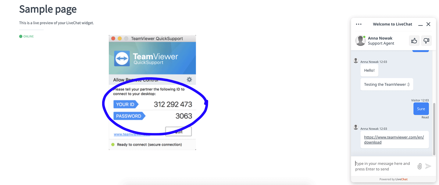 teamviewer support hotline