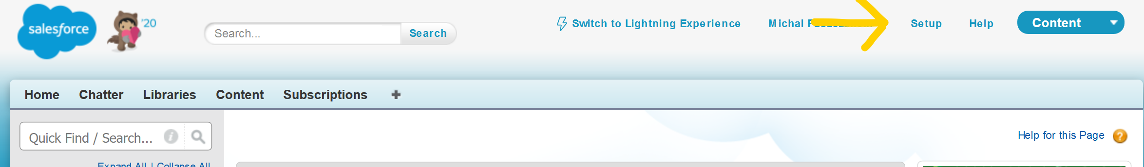 Salesforce panel Setup