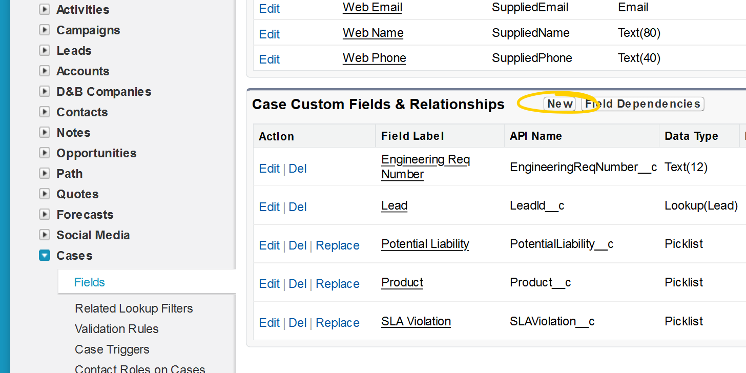 Salesforce Custom Fields