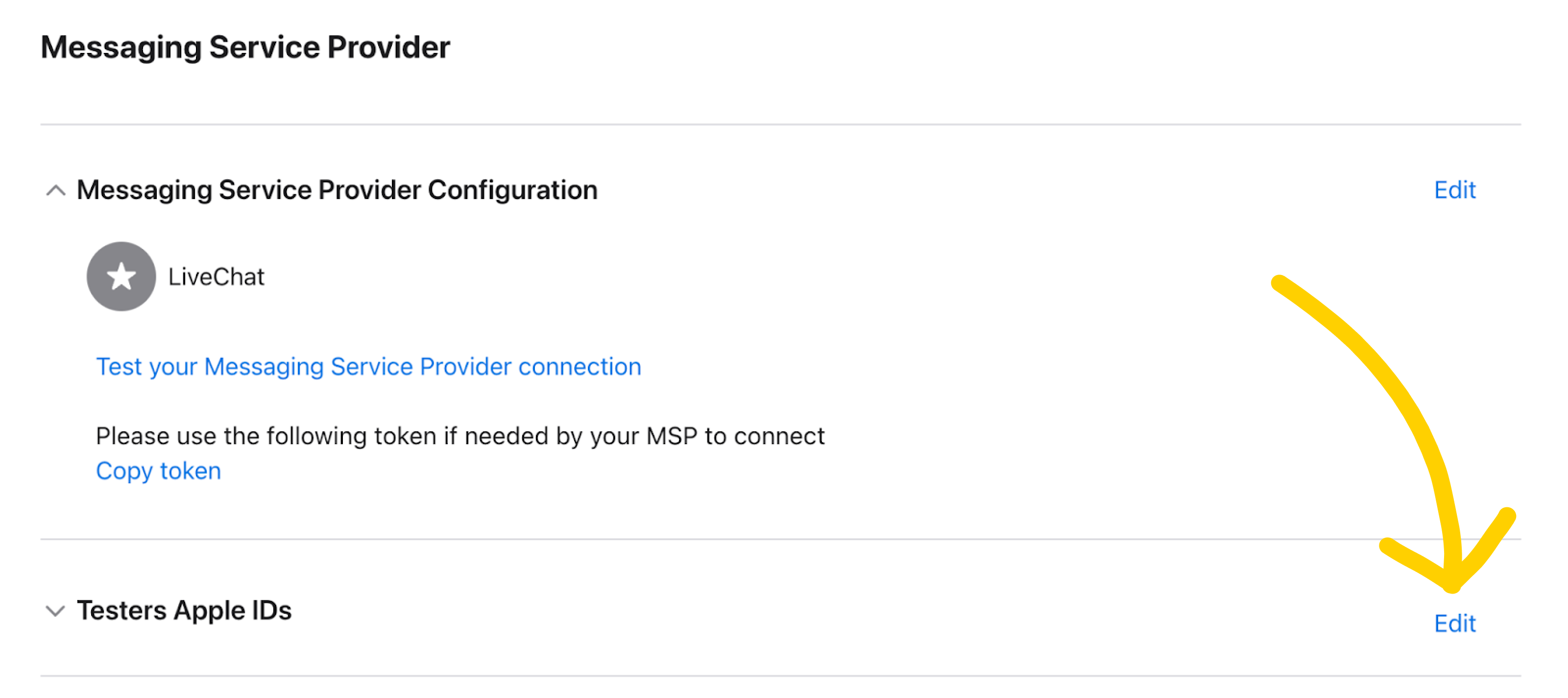 How to test your Apple Messages for Business channel first step