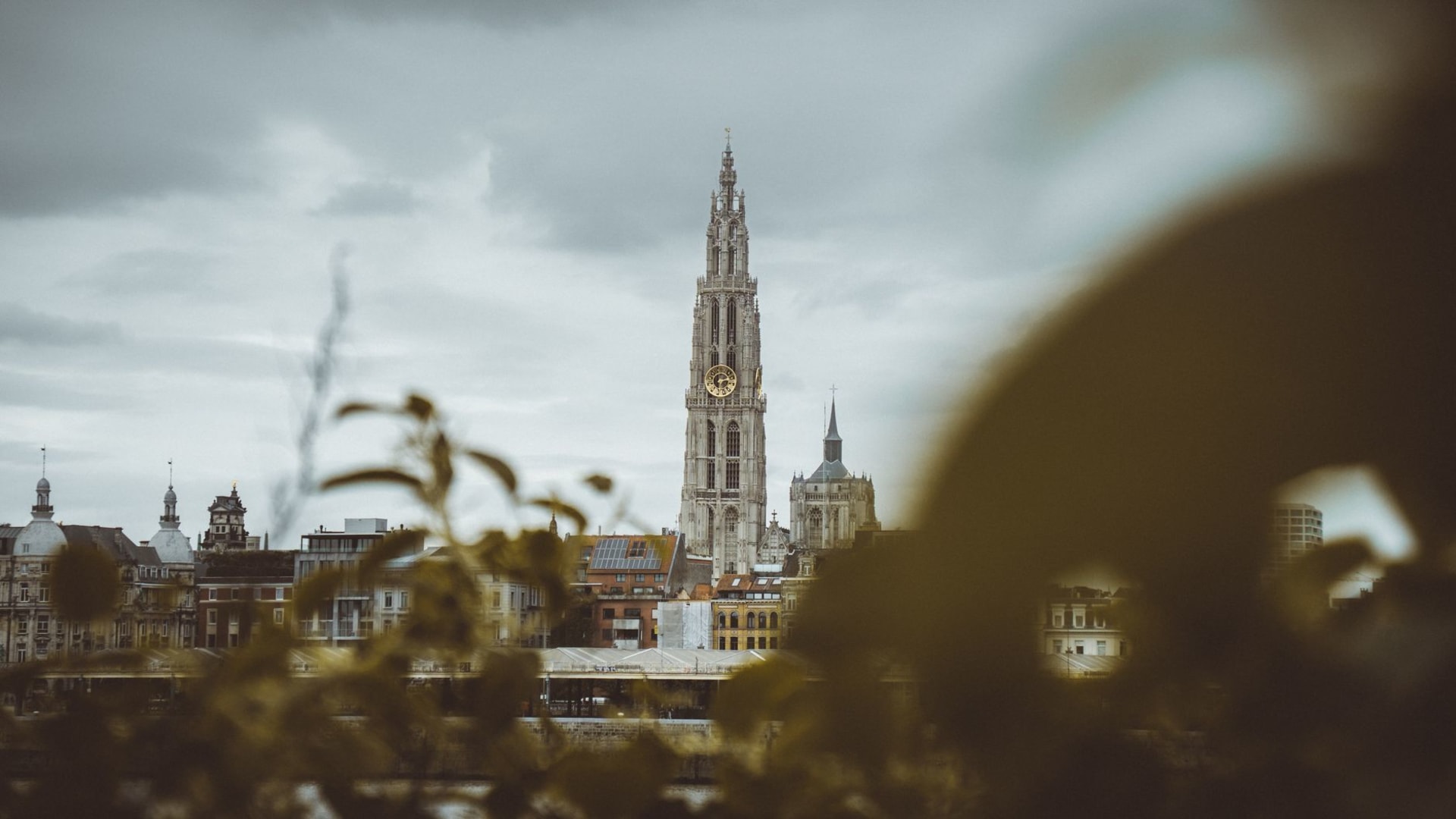 Antwerp