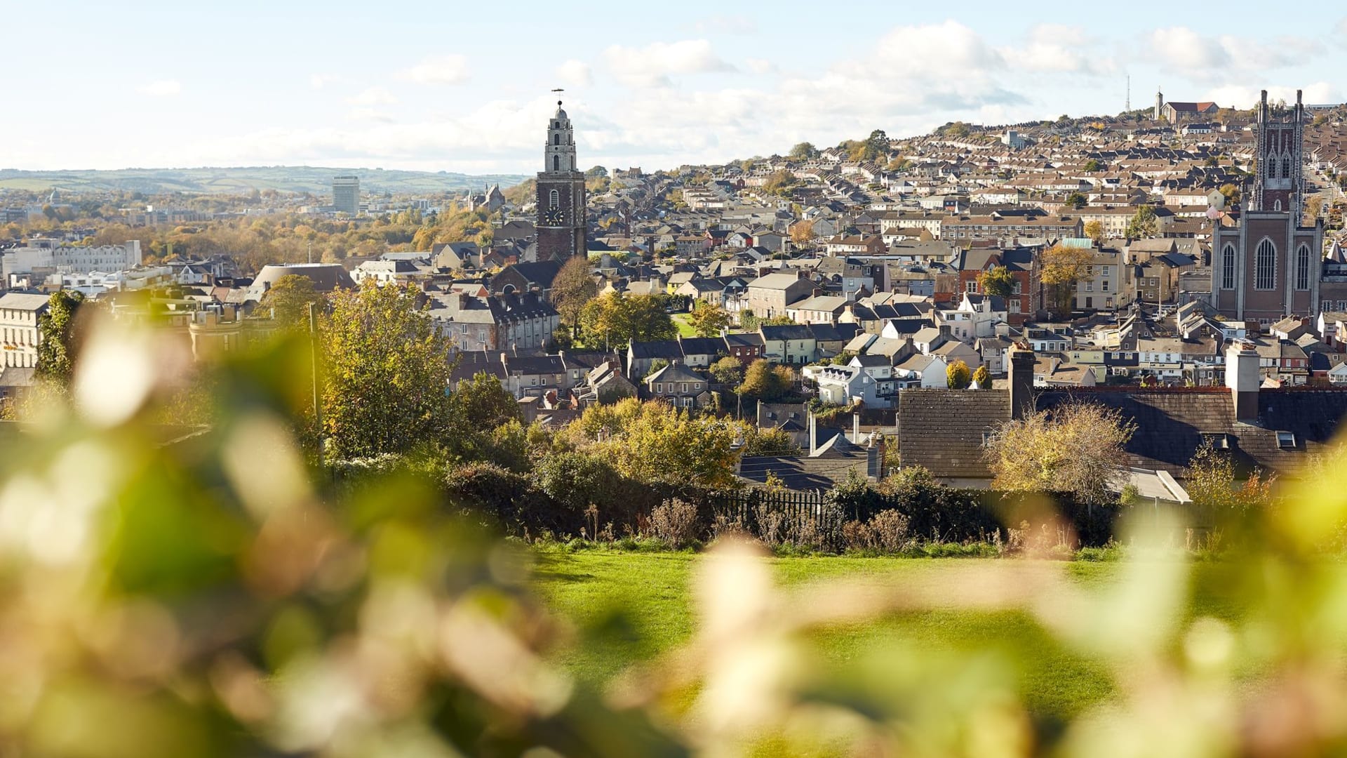 Cork