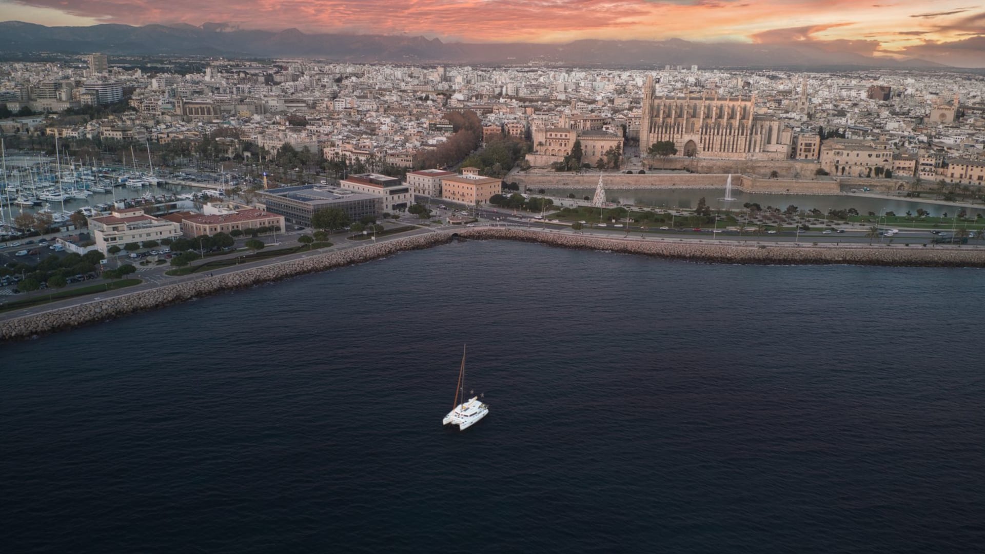 Palma