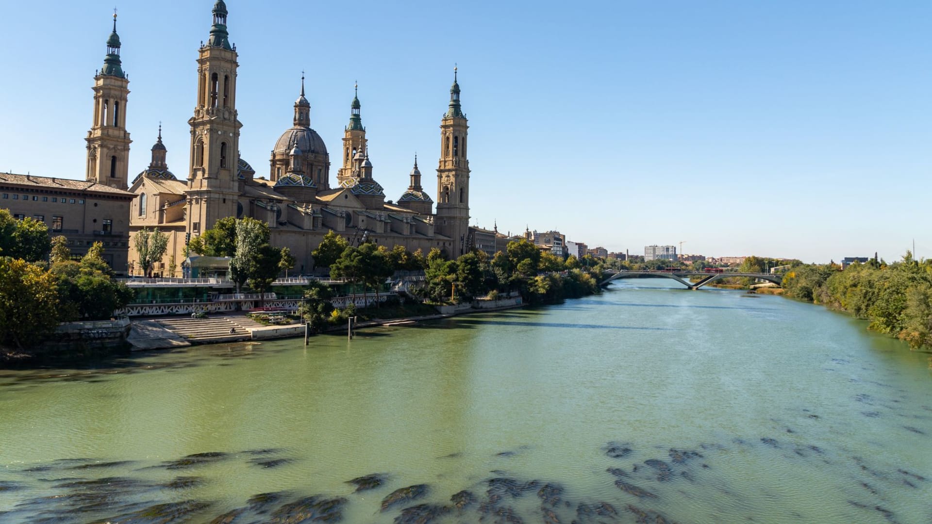Zaragoza