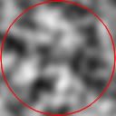 Noise with a circle to create a one dimensional loop