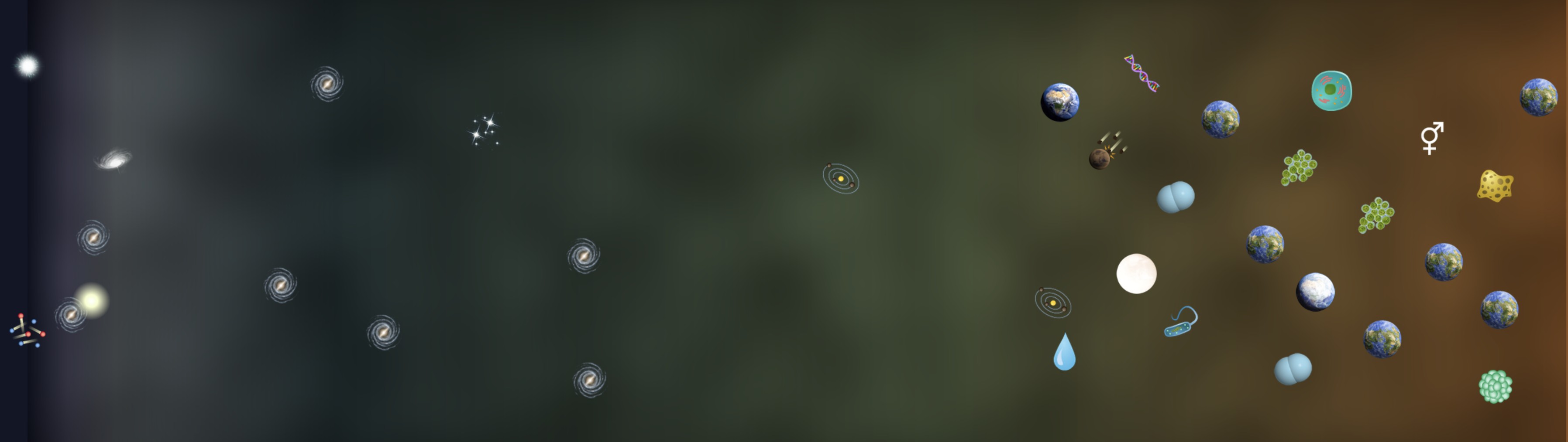 totaltimeline icons