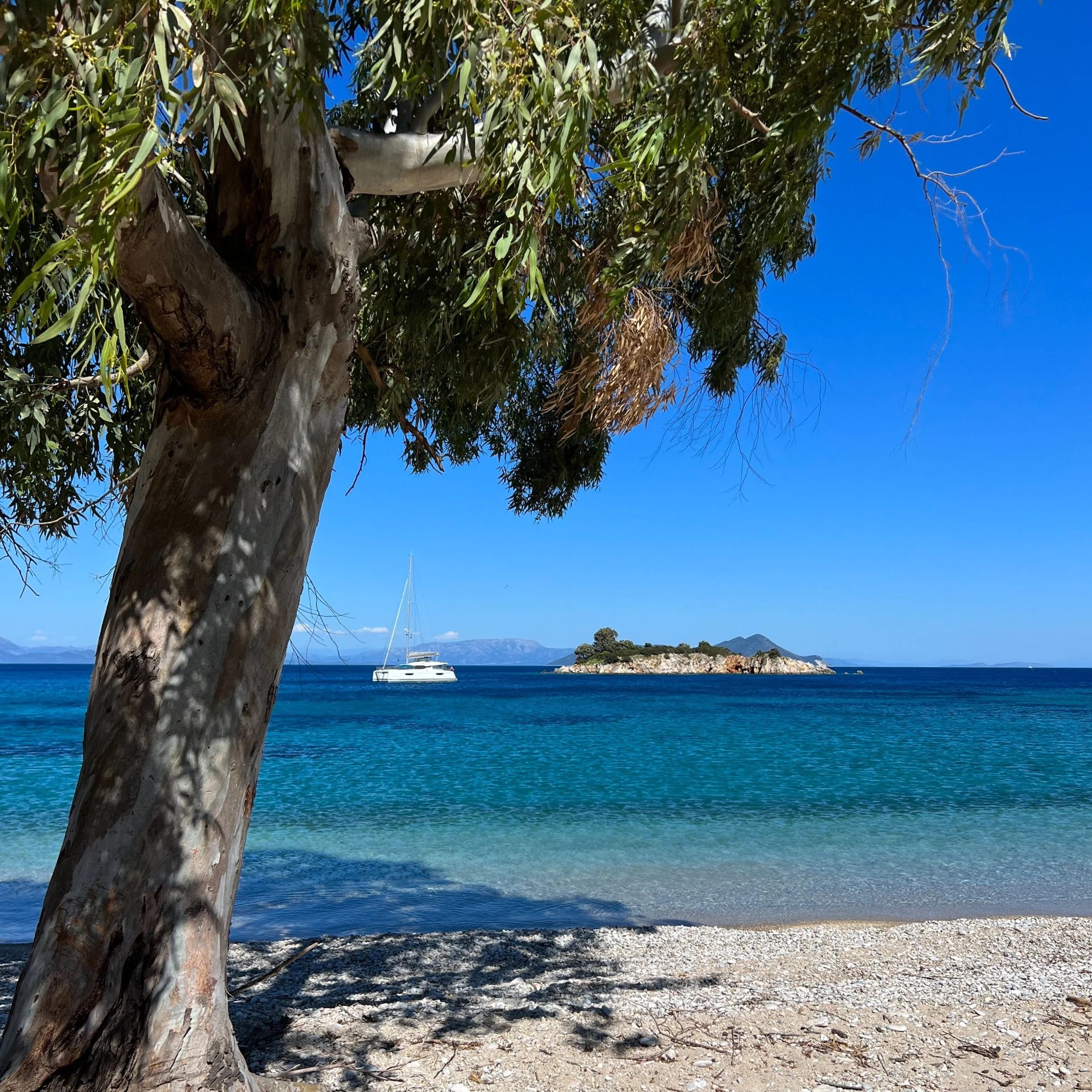 Did You Win The Lotto?!