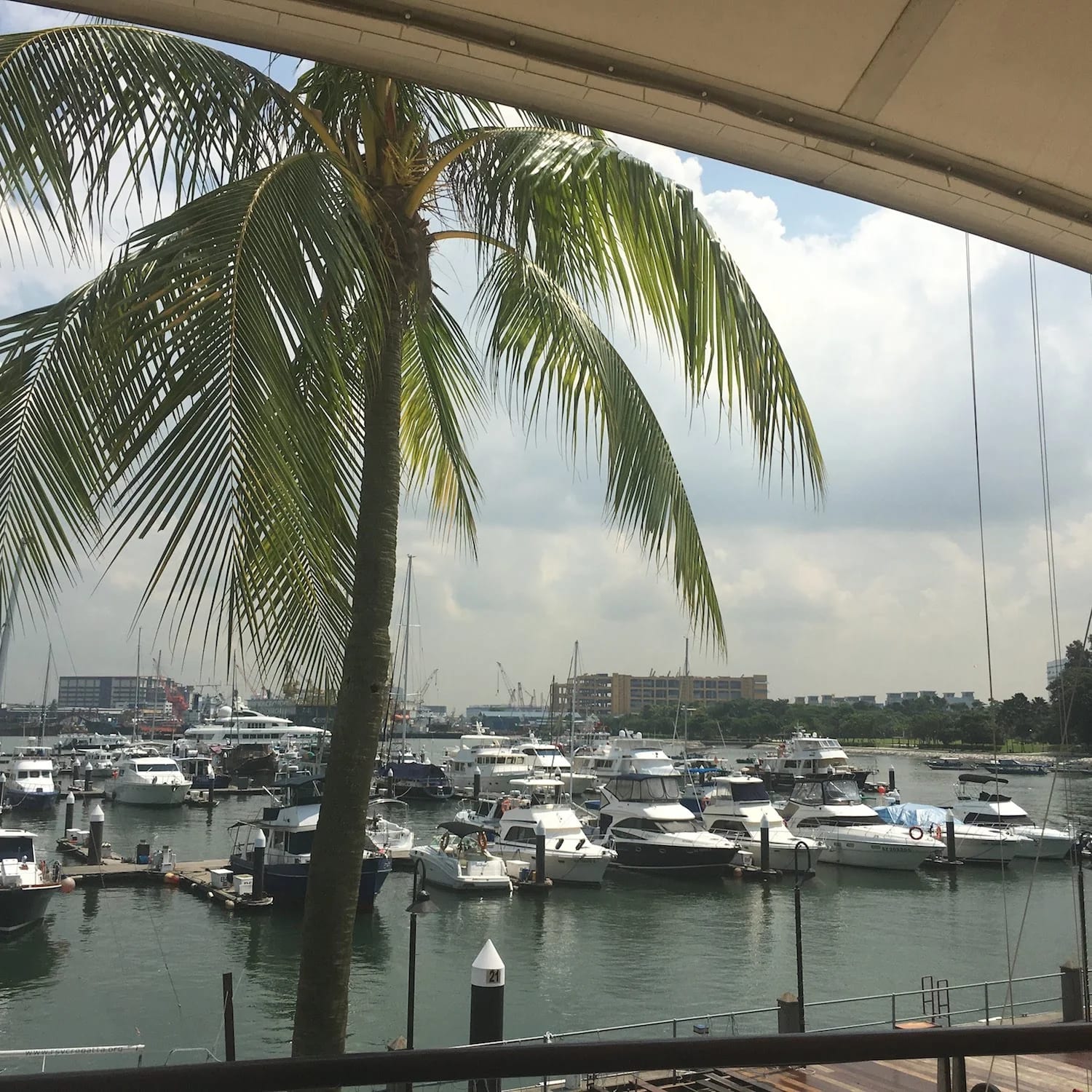 Singapore Yacht Club