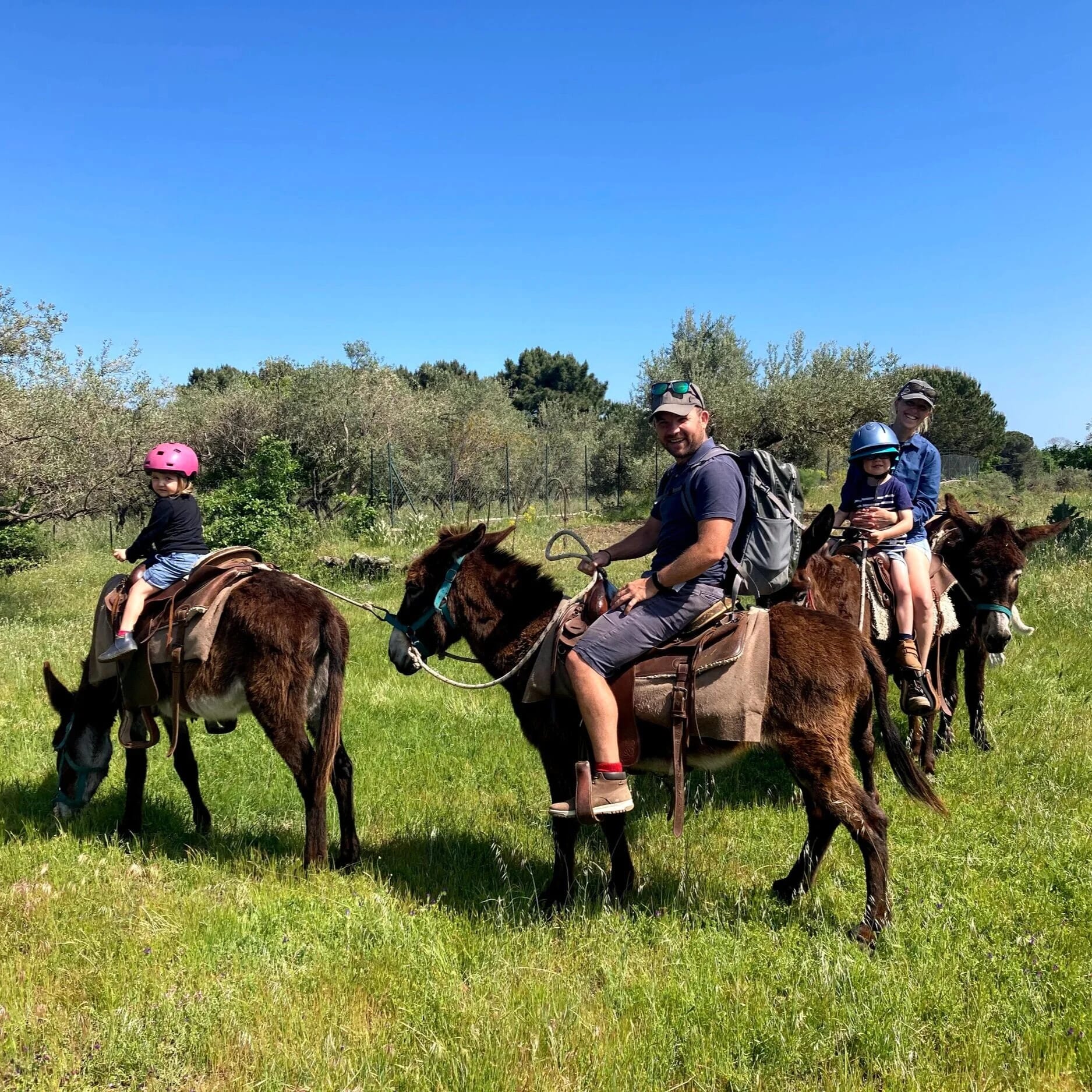 Etna Donkey Trekking