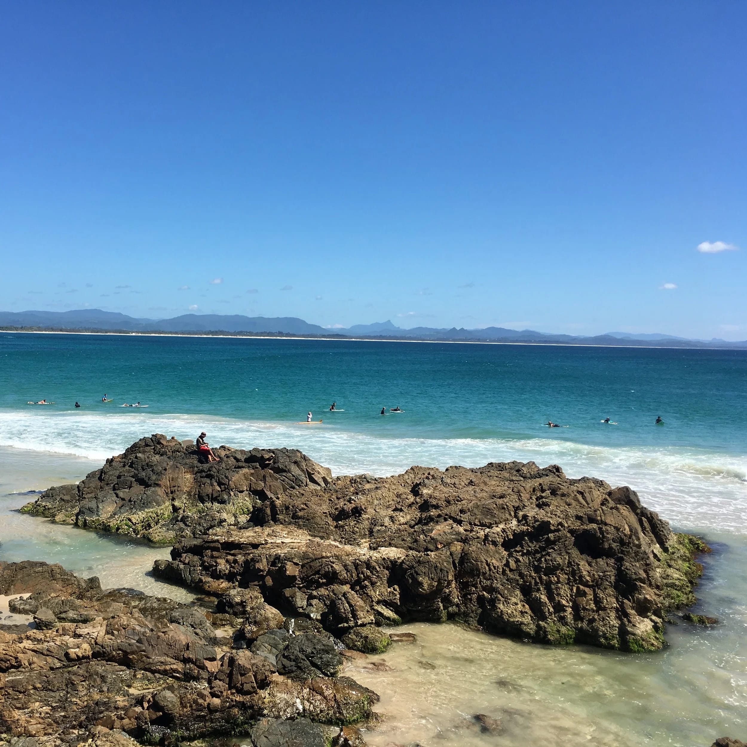 The "Cat" Is Out Of The Bag