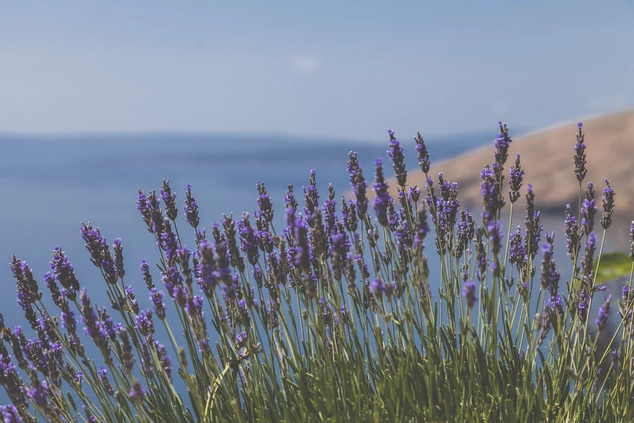 Infinite Possibility