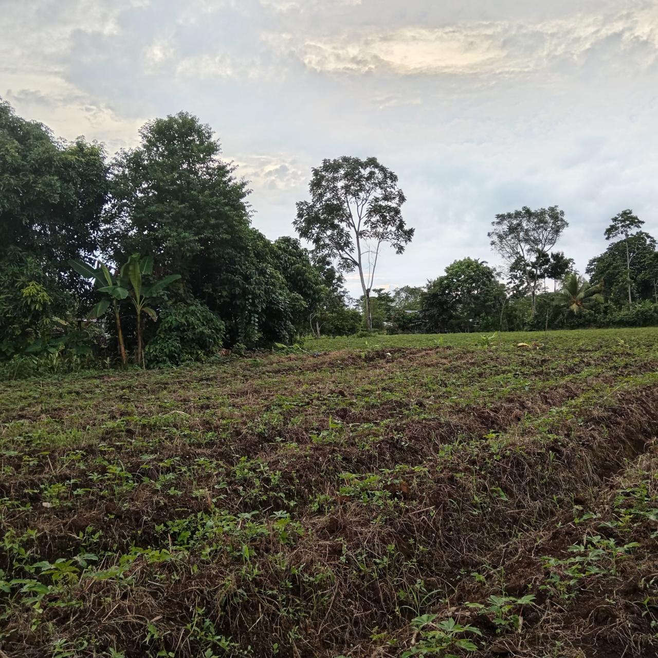 1 Lote en venta en Los Lagos Cariari Gran Oportunidad