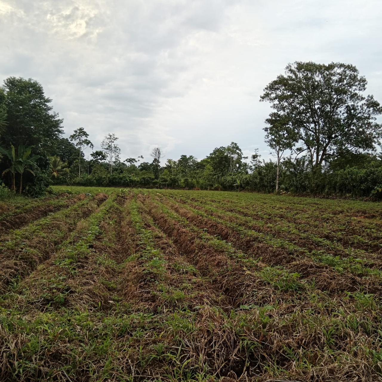 1 Lote en venta en Los Lagos Cariari Gran Oportunidad