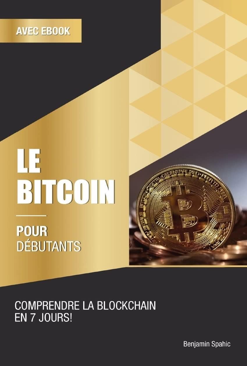 Vue 6 de Mastering Bitcoin Traduction Francaise
