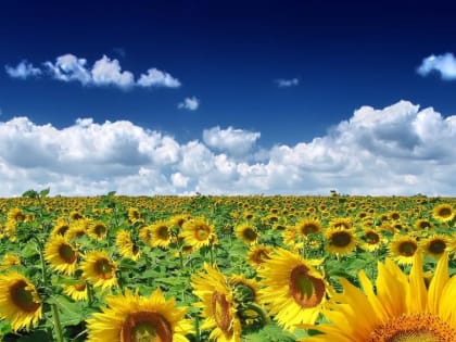 Переменную облачность и до +32 градусов обещают морозовчанам в среду