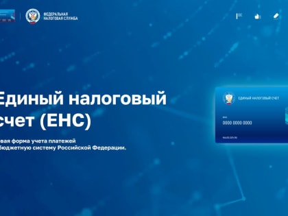Единый налоговый счет