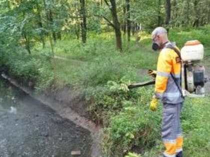 В Таганроге выполняются работы по уничтожению вредных насекомых