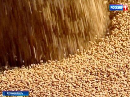 В Ростовской области на 45% сократились запасы зерна