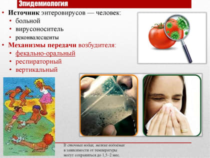 Профилактика энтеровирусной инфекции.