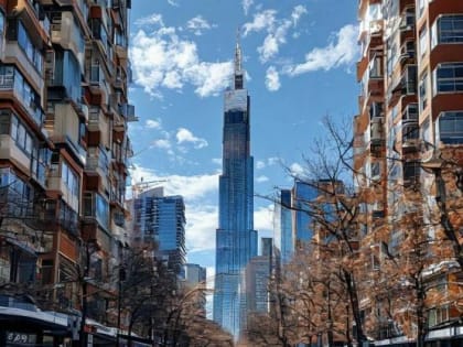 Ослабнет ветер и потеплеет: шторм в Ростовской области утихнет к середине недели