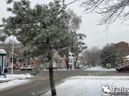Морозы и снег ожидаются в Новочеркасске к Рождеству