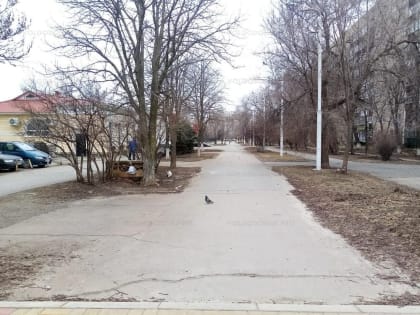 В Волгодонске начали собирать предложения по благоустройству бульвара в новом городе