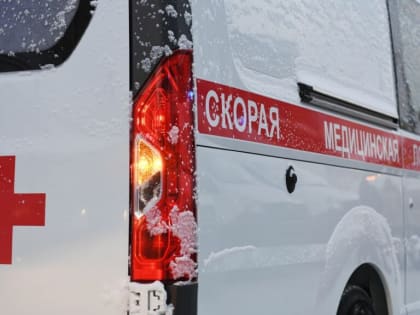 В РОСТОВСКОЙ ОБЛАСТИ14-ЛЕТНЯЯ ДЕВОЧКА ПОГИБЛА В ДТП