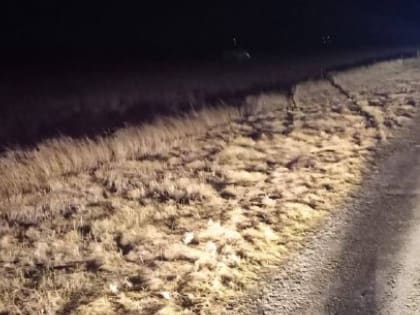 На донской трассе погиб мужчина