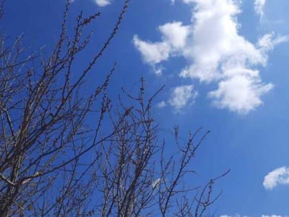 Потепление и дожди ожидают шахтинцев на длинных февральских выходных