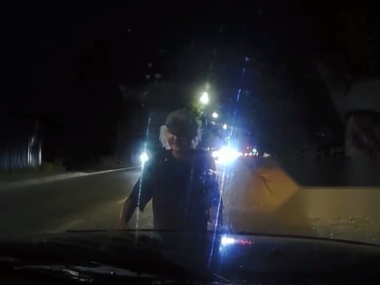 Молодая ростовчанка в ночи бросается на машины