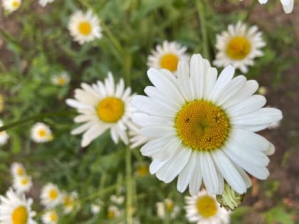 На выходных шахтинцам обещают похолодание и дожди