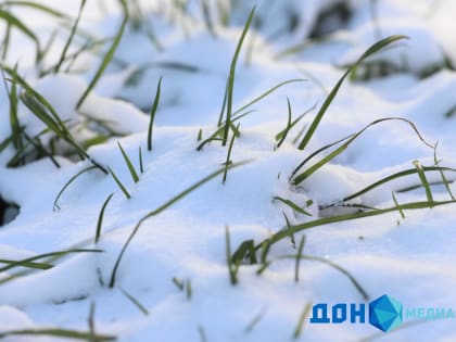 Морозный день: погода в Ростове 9 января