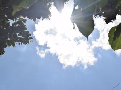 Чем опасна жара и как с ней справиться?