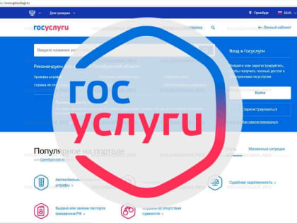 Больше 100 сервисов Социального фонда представлено на портале госуслуг